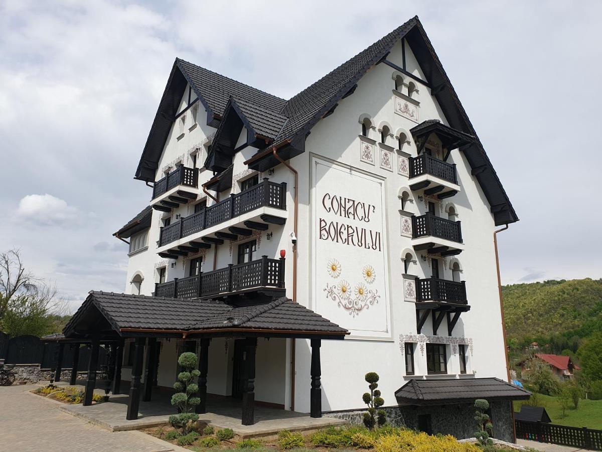 Отель Conacu' Boierului Ponoarele  Экстерьер фото